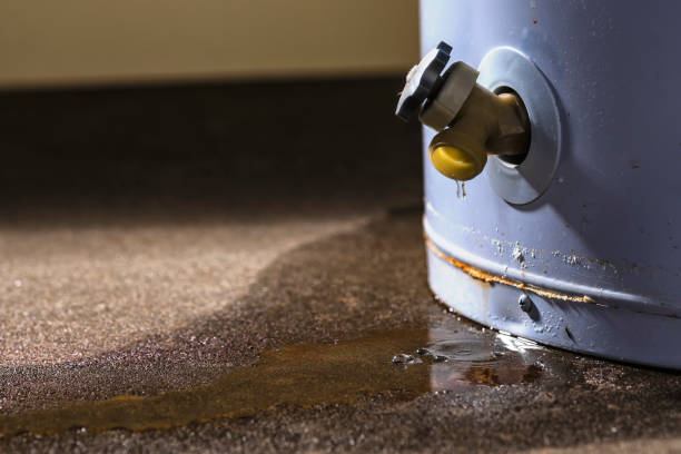 Best Residential water damage restoration  in Spanish Fort, AL