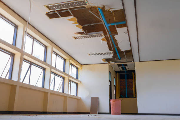 Best Sewage cleanup and water damage restoration  in Spanish Fort, AL