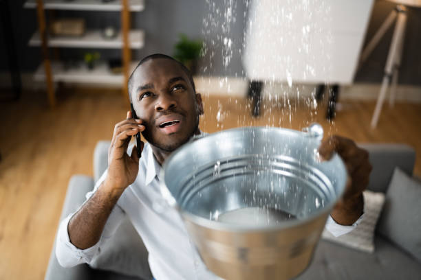 Best Water damage cleanup near me  in Spanish Fort, AL