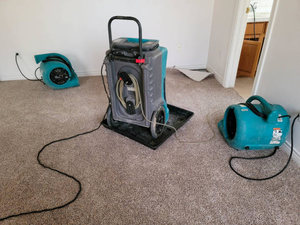  Spanish Fort, AL Water damage restoration Pros