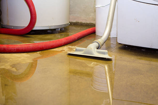 Best Mold removal after water damage  in Spanish Fort, AL