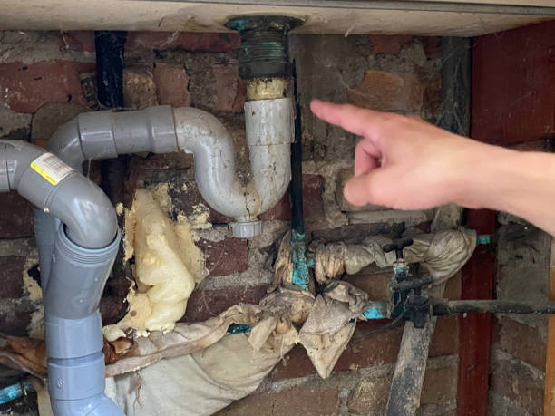 Best Local water damage restoration  in Spanish Fort, AL