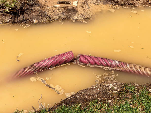 Best Water damage mitigation services  in Spanish Fort, AL